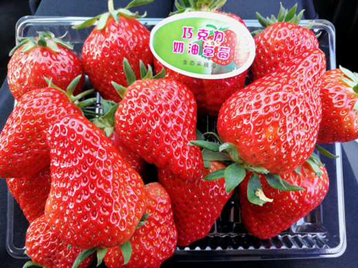 沖施肥,水溶肥,拉姆拉,磷酸二氫鉀,肥料 沖施肥,水溶肥,拉姆拉,磷酸二氫鉀,肥料