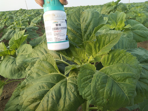 進(jìn)口肥料,葉面肥,拉姆拉 進(jìn)口肥料,葉面肥,拉姆拉