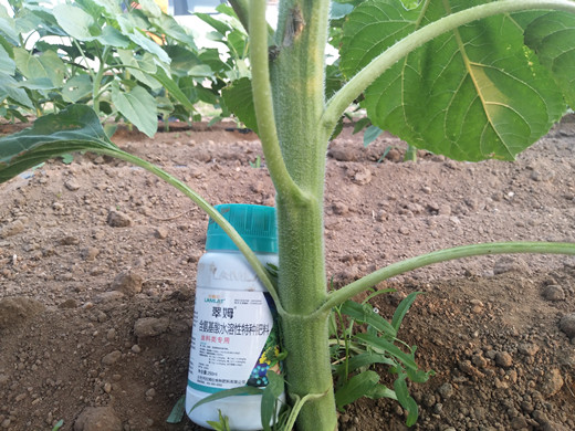 進(jìn)口肥料,葉面肥,拉姆拉 進(jìn)口肥料,葉面肥,拉姆拉