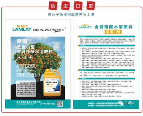 魚(yú)蛋白 魚(yú)蛋白