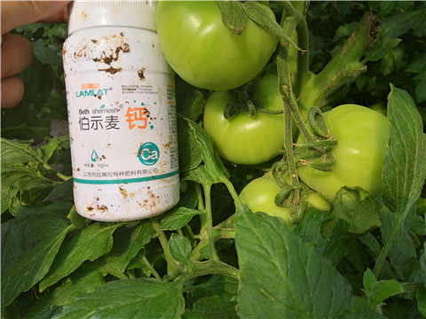 葉面肥，磷酸二氫鉀，鈣肥