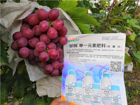 水溶肥，鈣肥，硼肥