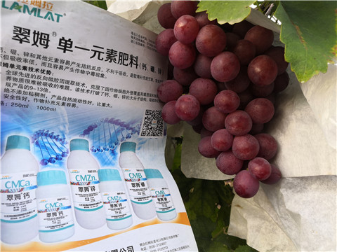 水溶肥，鈣肥，硼肥