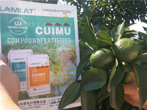 菌劑，水溶肥，