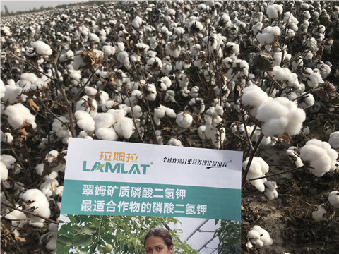 水溶肥，根碧多，生物菌劑