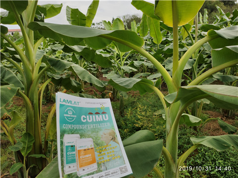 葉面肥，微生物菌劑，硼肥，水溶肥