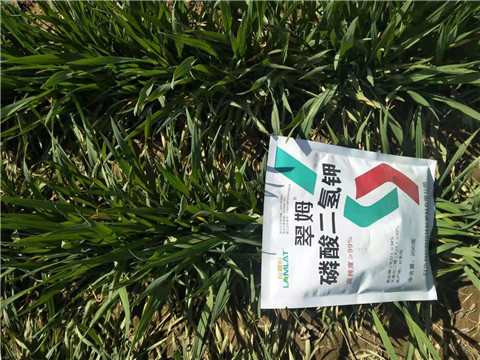 磷酸二氫鉀，