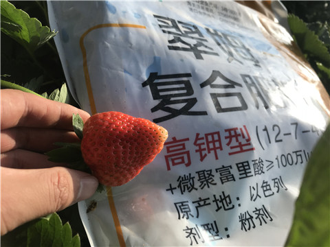 水溶，拉姆拉，翠姆