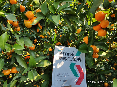 水溶肥，磷酸二氫鉀