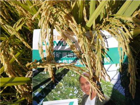 水溶肥，磷酸二氫鉀，