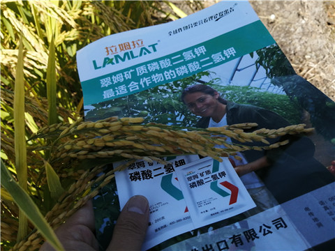 水溶肥，磷酸二氫鉀，