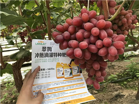 沖施肥，拉姆拉