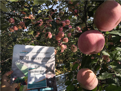 水溶肥，磷酸二氫鉀，微生物菌劑