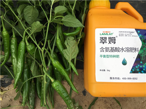 根碧多，微生物菌，葉面肥