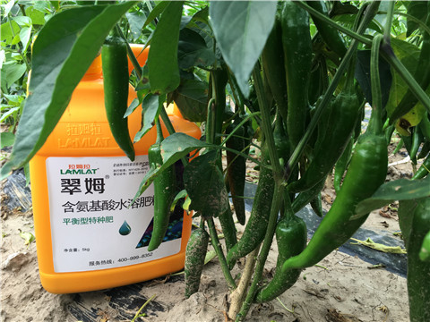 根碧多，微生物菌，葉面肥