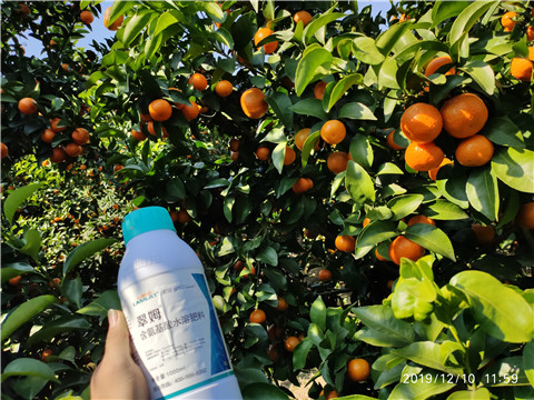 硼肥，拉姆拉