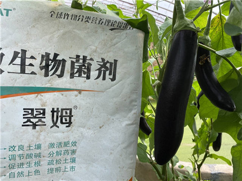 微生物菌劑，拉姆拉