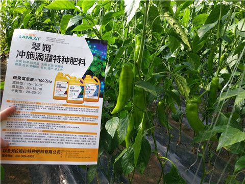 水溶肥，拉姆拉