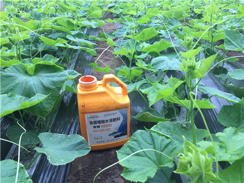 水溶肥，拉姆拉