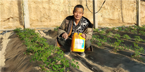 生根劑，拉姆拉