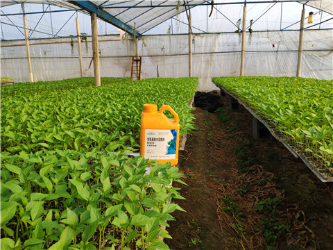 水溶肥，