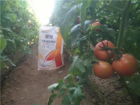 大量元素水溶肥，拉姆拉 