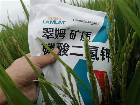 農(nóng)資經(jīng)銷商，拉姆拉，磷酸二氫鉀