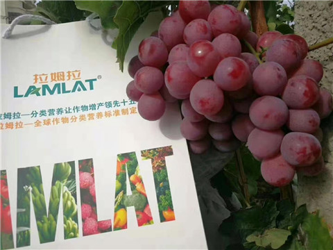 葉面肥，微生物菌劑