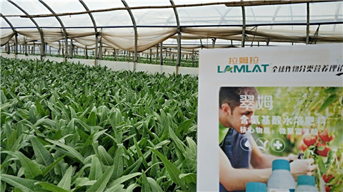 葉面肥，磷酸二氫鉀