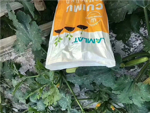 水溶肥，拉姆拉