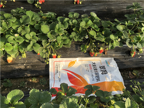 水溶肥，葉面肥，根碧多