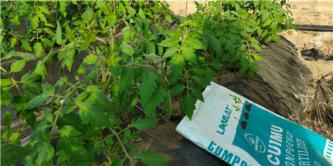 磷酸二氫鉀，鈣肥，水溶肥