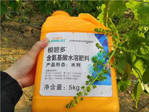 生根劑，微生物菌劑