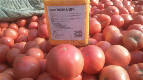 水溶肥，根碧多