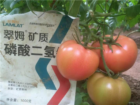 水溶肥，根碧多