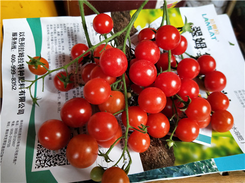 磷酸二氫鉀，鈣肥，根碧多