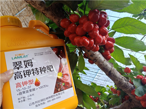 水溶肥，根碧多