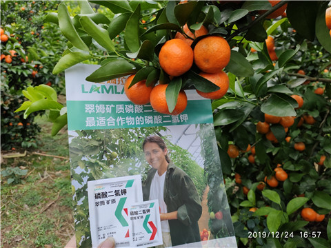 磷酸二氫鉀，鈣肥，硼肥