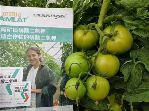 磷酸二氫鉀，鈣肥，水溶肥