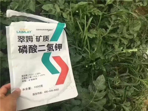 磷酸二氫鉀，硼肥，沖施肥