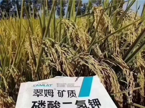 磷酸二氫鉀，翠姆