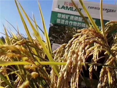 磷酸二氫鉀，翠姆