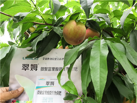 根碧多，微生物菌劑