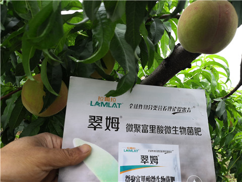 根碧多，微生物菌劑