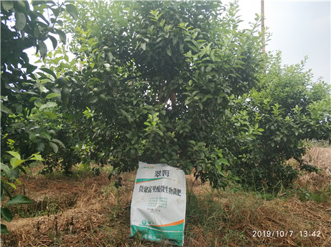 微生物菌劑，拉姆拉