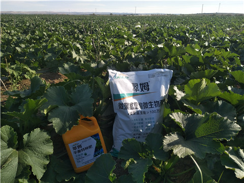 微生物菌劑，磷酸二氫鉀