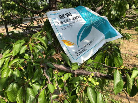 大量元素水溶肥，磷酸二氫鉀，硼肥