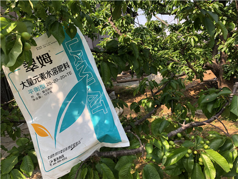 大量元素水溶肥，磷酸二氫鉀，硼肥