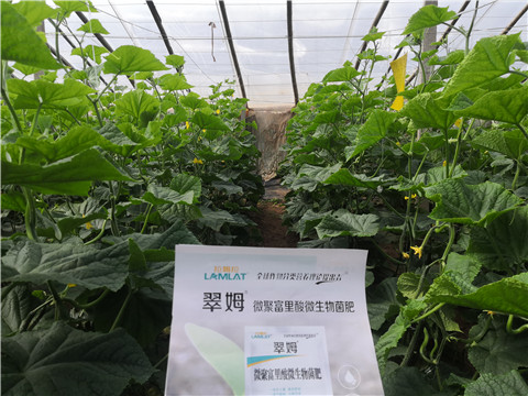 微生物菌劑，拉姆拉