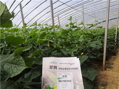 微生物菌劑，拉姆拉